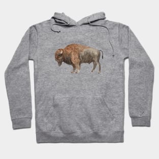 Bison Watercolor Hoodie